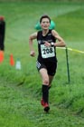 White 280,  North-East Harriers League, Cramlington